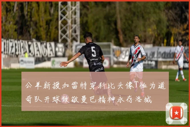 公羊新援加雷特穿科比头像T恤为道奇队开球致敬曼巴精神永存洛城